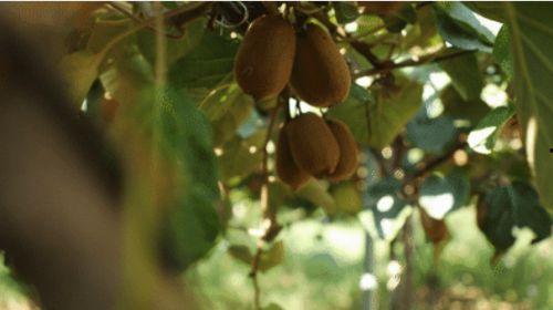 曝料吃瓜最新,揭秘娱乐圈最新吃瓜大事件