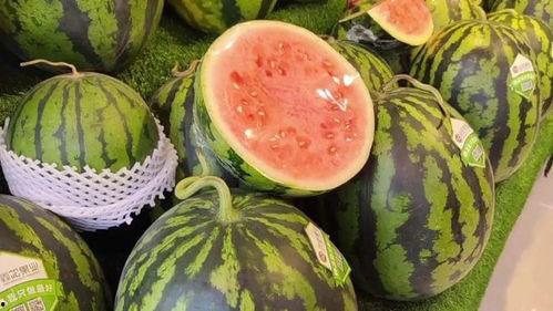 哪里可以天天吃瓜,揭秘娱乐圈的“新鲜瓜果”