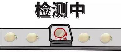 网络吃瓜的弊端,狂欢背后的隐忧与反思