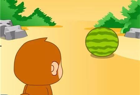 小猴子吃瓜,趣味盎然的夏日趣事