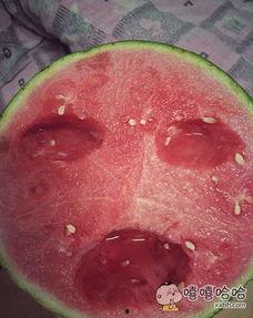 洋爸吃瓜,揭秘娱乐圈背后的那些事儿