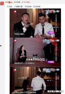 谢娜孙红雷吃瓜,娱乐圈风云再起