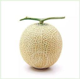 吃瓜群众冰块,揭秘吃瓜群众的冰点生活