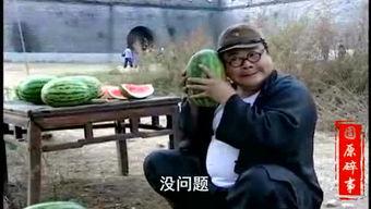 成都mc吃瓜视频,揭秘网络红人背后的故事