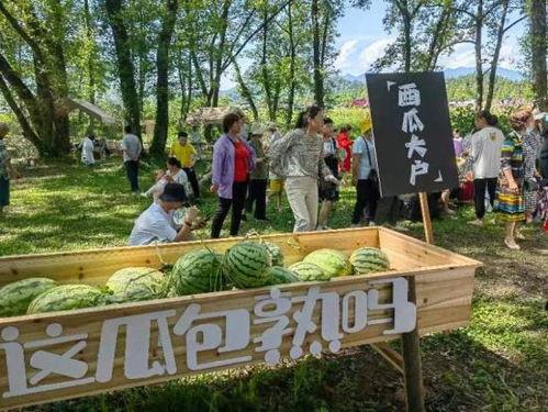 吃瓜黄山