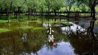 有关小暑吃瓜古诗,古韵中的消暑食瓜图